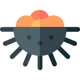 Sea urchin icon