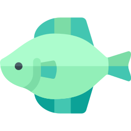 tipo de peixe Ícone