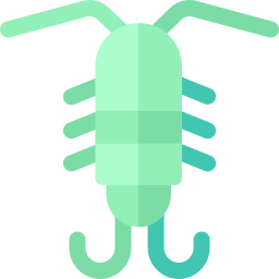 plankton ikona