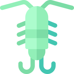 plankton icon