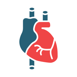 kardiologie icon