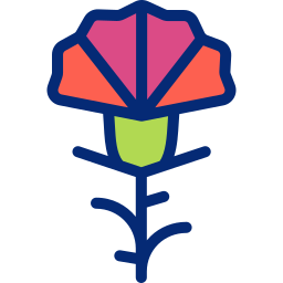 Carnation icon