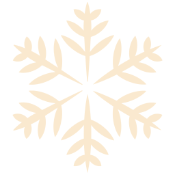 Ice icon