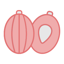 Goseberry icon