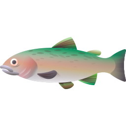 Rainbow trout icon