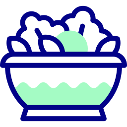 Salad icon