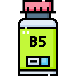 vitamina b5 Ícone
