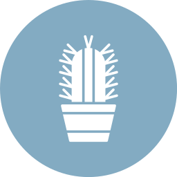 Succulent icon