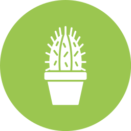 Cactus icon