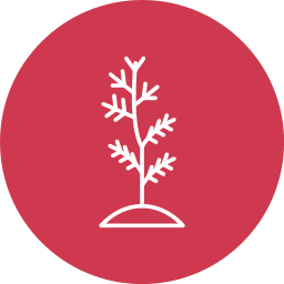 Plant tree icon