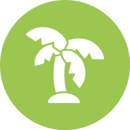 Palm leaf icon