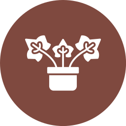 English ivy icon