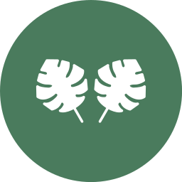 Филодендрон иконка