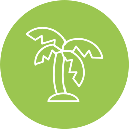Palm leaf icon