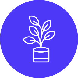 Ficus icon