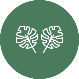 Philodendron icon