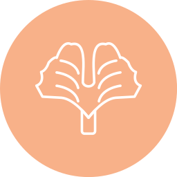 Ginkgo biloba icon