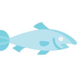 Salmon icon