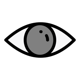 Eye icon