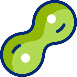 Cell division icon