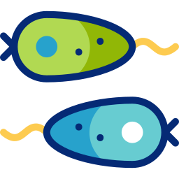 Microorganism icon