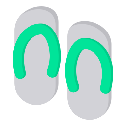 Flip flop icon