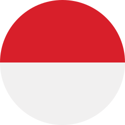 bandera de indonesia icono
