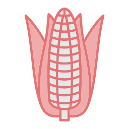 Corn icon