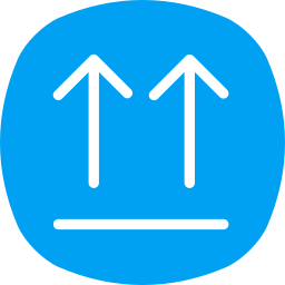 Double arrow icon