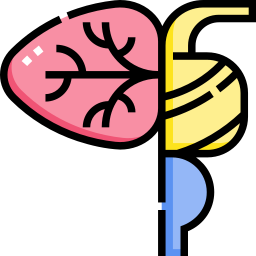 小脳 icon