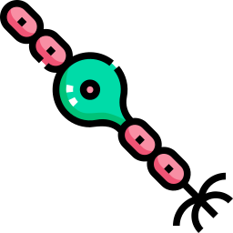 Bipolar neuron icon