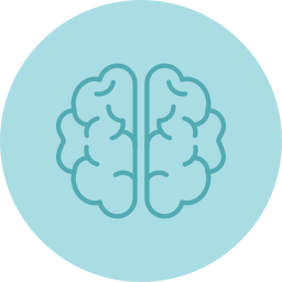 Brain icon