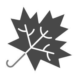 Maple leaf icon