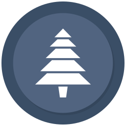 Christmas icon