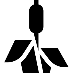 Bulrush icon