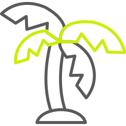 palmblatt icon
