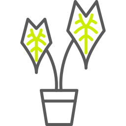 alocasia icono