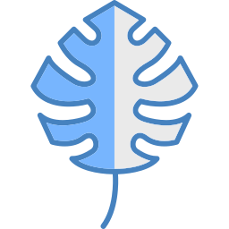 몬스테라 잎 icon
