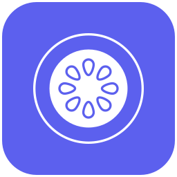 Passion fruit icon