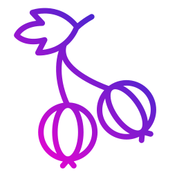 구스베리 icon