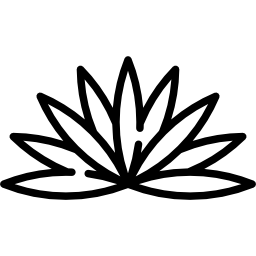 agave icono