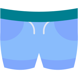 shorts Icône