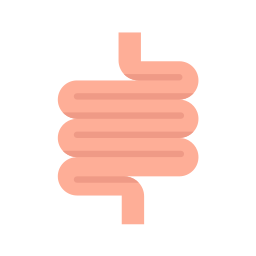 intestins Icône
