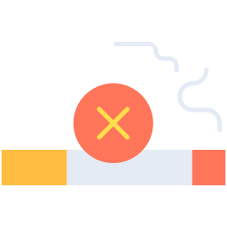 kein rauch icon