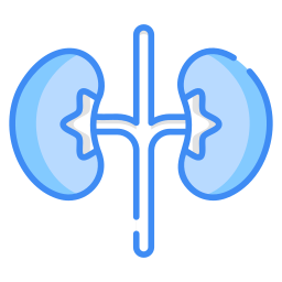 Kidney icon