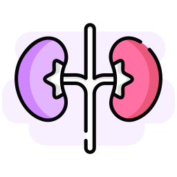 Kidney icon