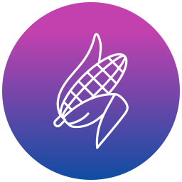 Corn icon