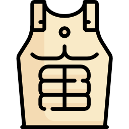 Armour icon