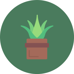 aloe vera Icône