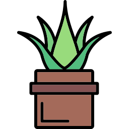 Aloe vera icon